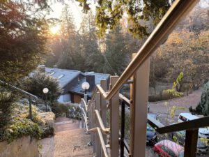 Wachsmann Treppenlifte Plattformlift Kunde